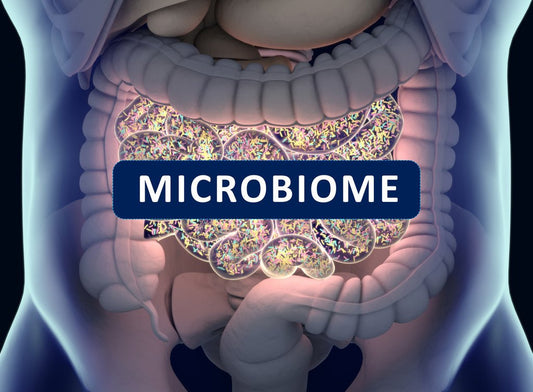 Gut Probiotics: Unveiling the Surprising Link to Vaginal Health - Kydella